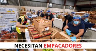 Se busca personal para trabajar como EMPACADORES de diversos productos